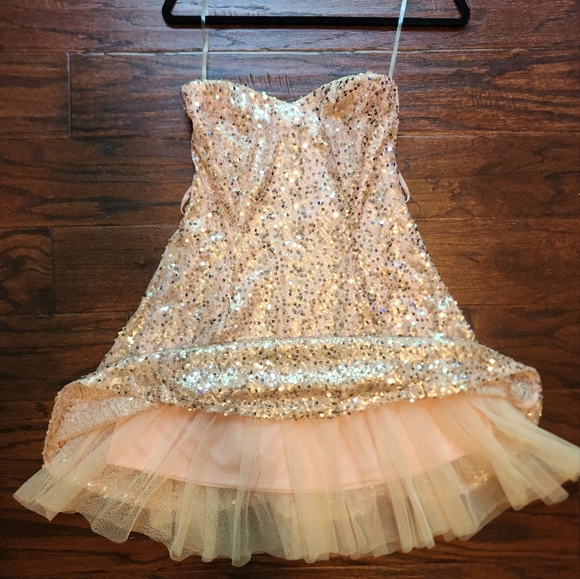 Potter's Pot fit and flare pink sequin strapless mini dress - Picture 5 of 5